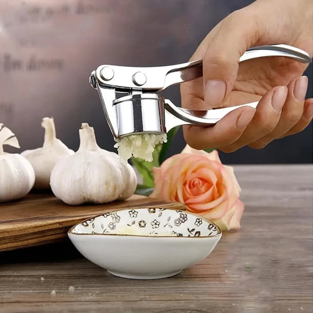 Stainless Steel Garlic Press